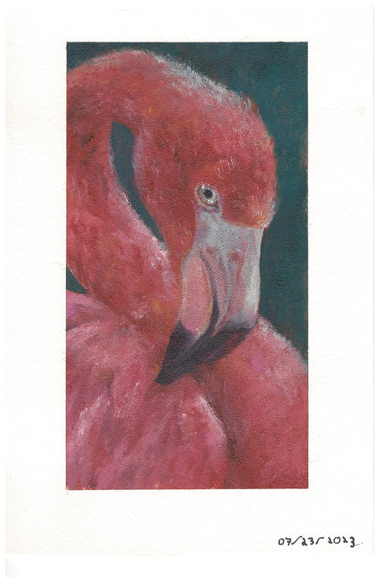 Flamingo – Original Oil on Paper
