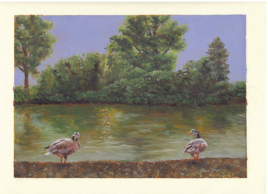 Ducks of Bordeaux – Original Oil on Canvas Paper